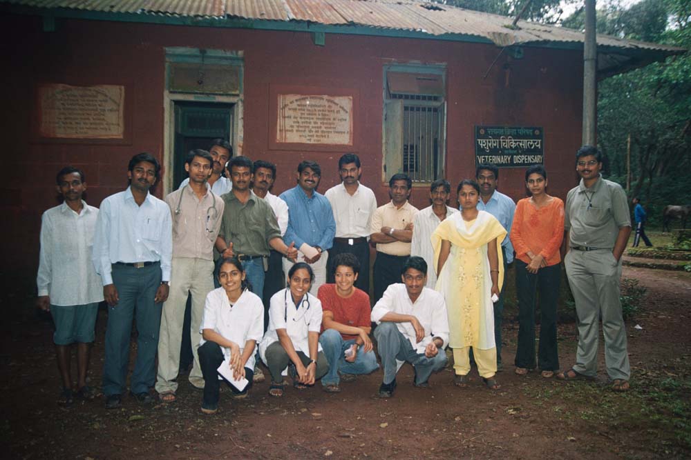 Horse Gelding Camp 2003